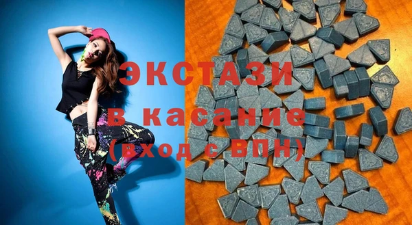 индика Гусь-Хрустальный
