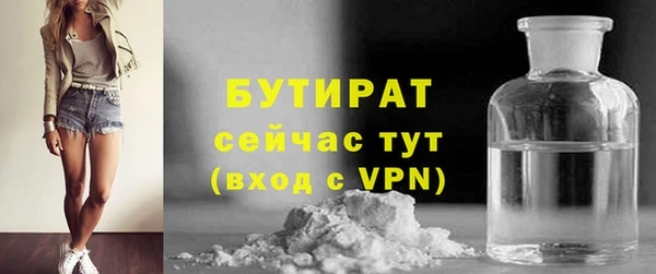 индика Гусь-Хрустальный