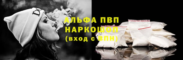 индика Гусь-Хрустальный