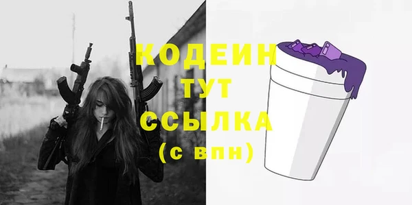 индика Гусь-Хрустальный