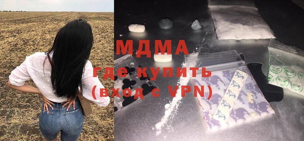 индика Гусь-Хрустальный