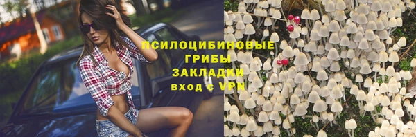 индика Гусь-Хрустальный