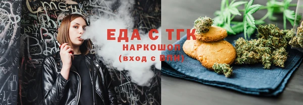 индика Гусь-Хрустальный