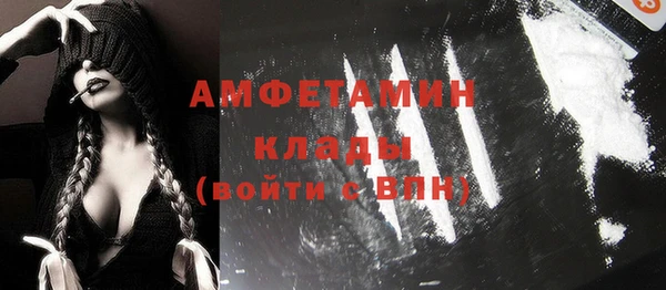 индика Гусь-Хрустальный