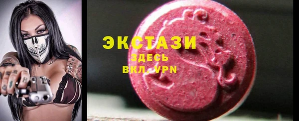 индика Гусь-Хрустальный
